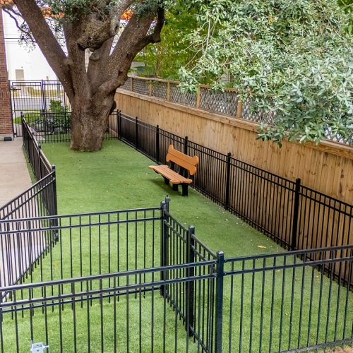 We welcome all your furry friends